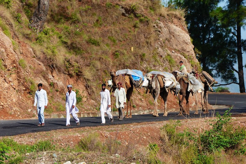 INDIA